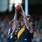 262905-tlssmallthumbnail.jpg